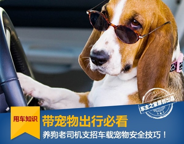 Köpeğinizi Yeni Yıl için eve gittiğinizde gidin diyen bir geziye nasıl getirirsiniz?